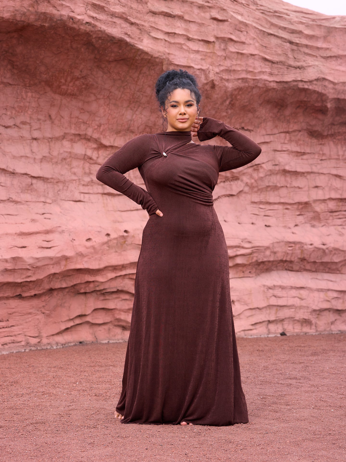 Brown Dusk Maxi Dress - Lamoanna